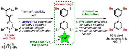 Cover image for Two flavors of PEPPSI-IPr: Activation and diffusion control in a single NHC-ligated Pd catalyst?